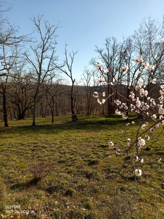 Location Gite Proche Gourdon Saint-Cirq-Souillaguet Bagian luar foto